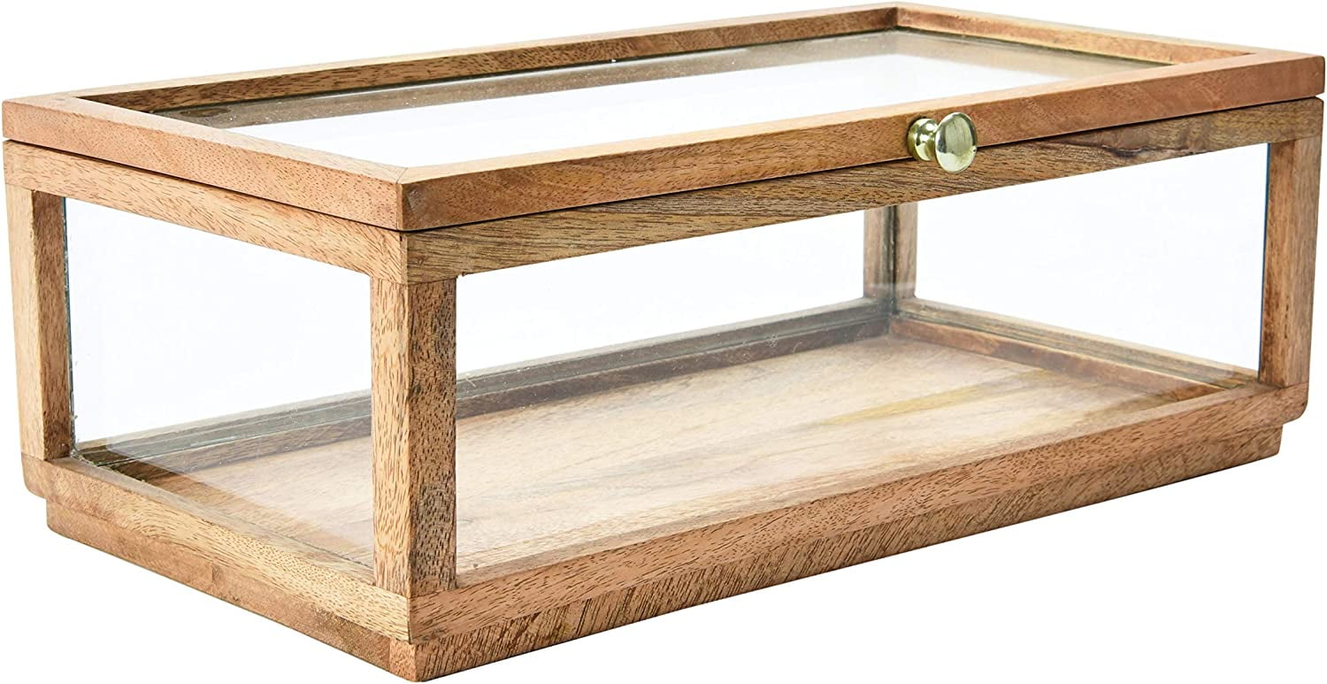 Creative Co-Op Mango Wood and Glass Display Box with Lid, Clear