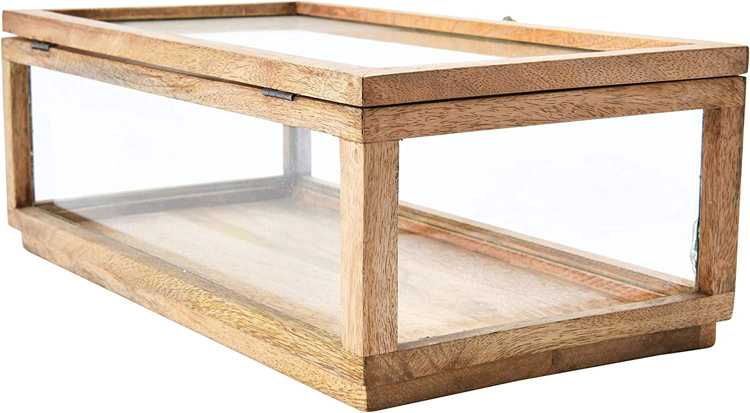 Creative Co-Op Mango Wood and Glass Display Box with Lid, Clear